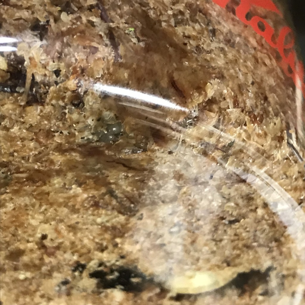 f:id:say-01:20170924220321j:plain f:id:say-01:20170924220321j:plain