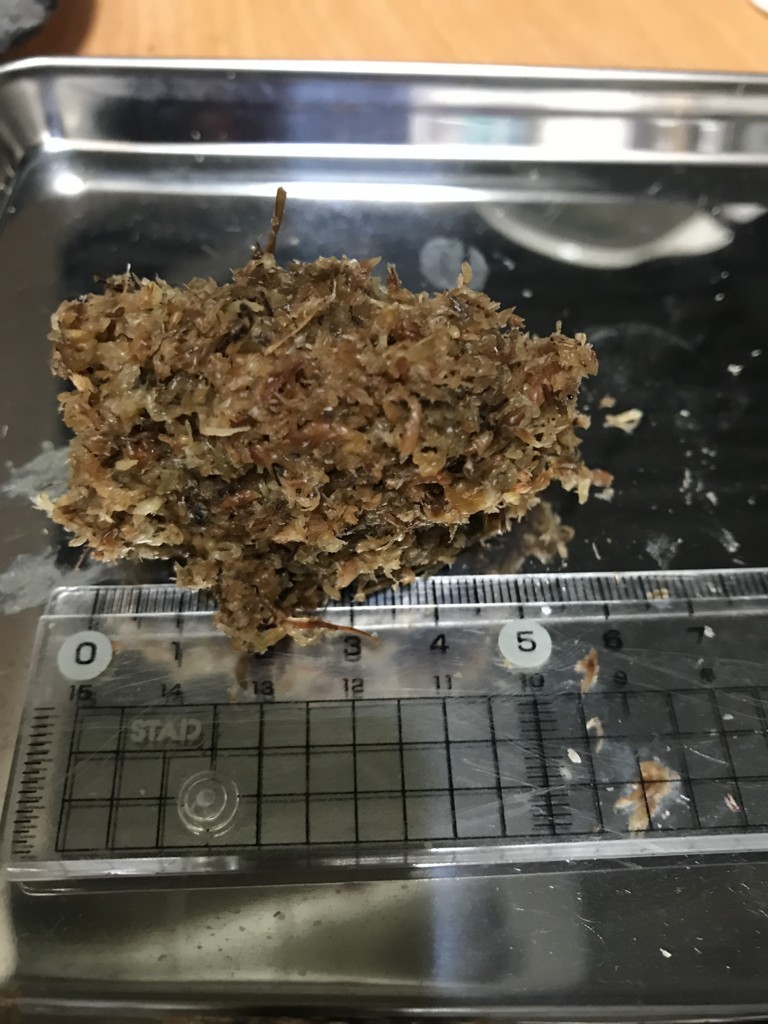 f:id:say-01:20171019210518j:plain