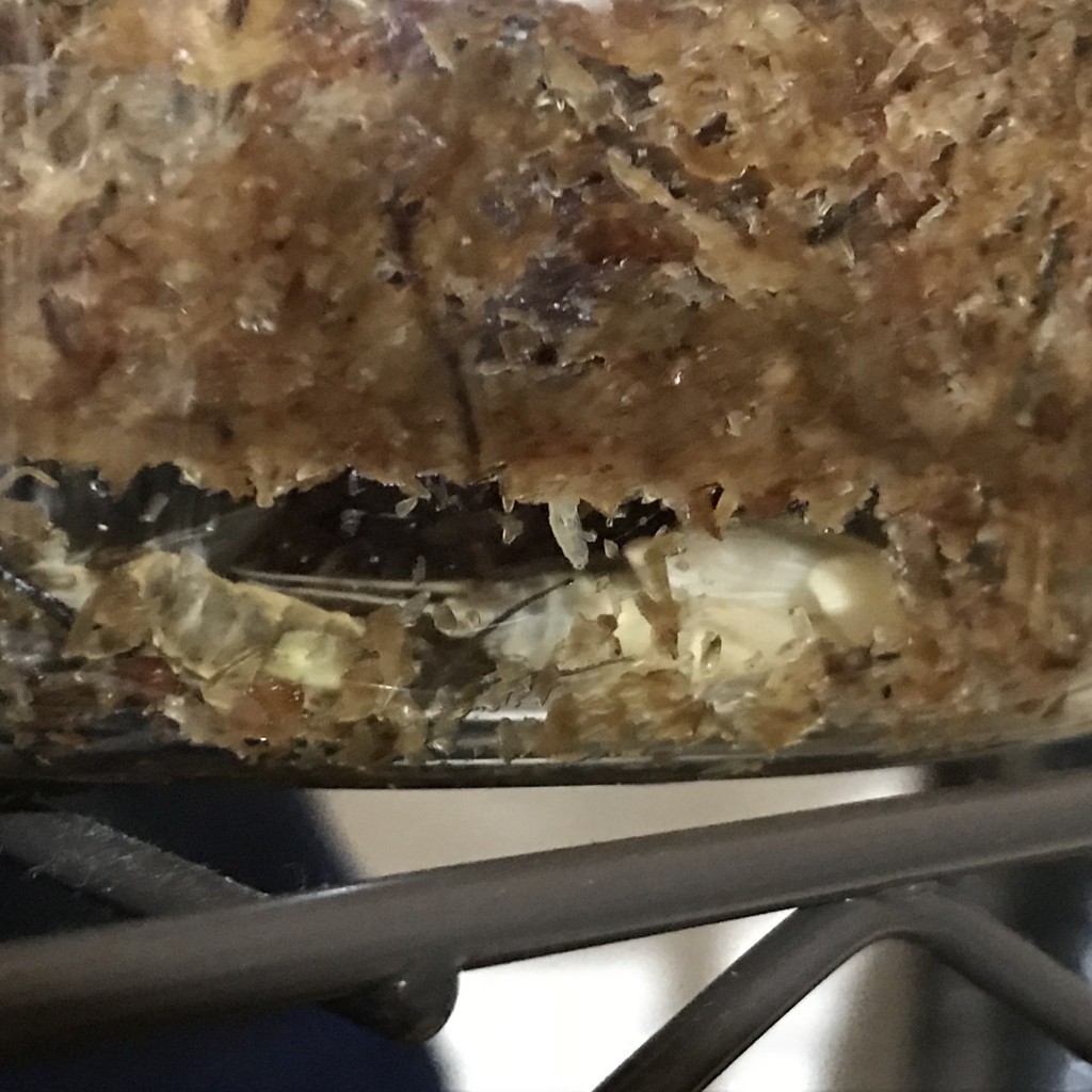 f:id:say-01:20180602133817j:plain