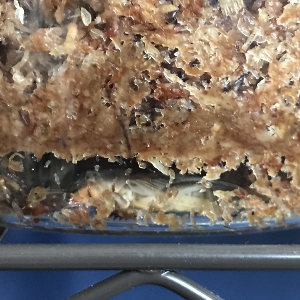 f:id:say-01:20180602134453j:plain