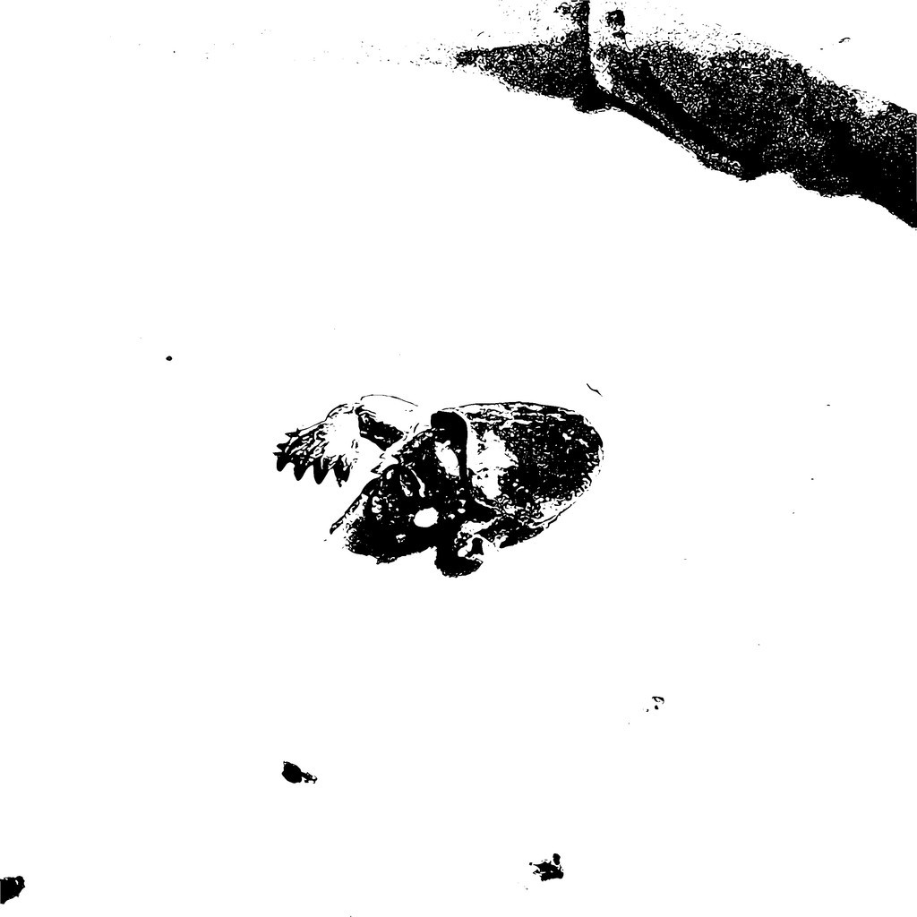 f:id:say-01:20181231221758j:plain f:id:say-01:20181231221758j:plain