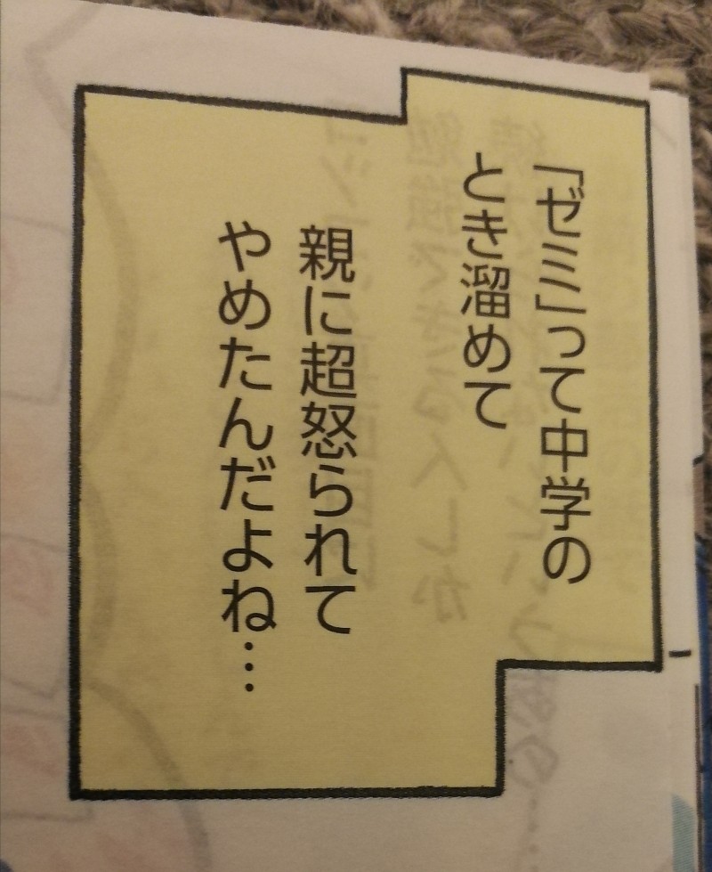 f:id:say4:20200327002612j:plain f:id:say4:20200327002612j:plain