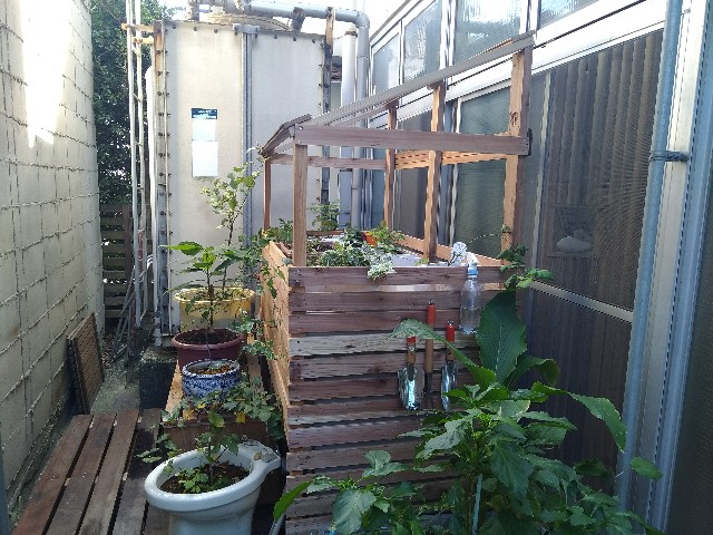 f:id:saya1226km:20201215104419j:image