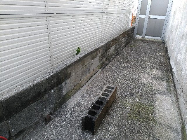 f:id:saya1226km:20201215104825j:image