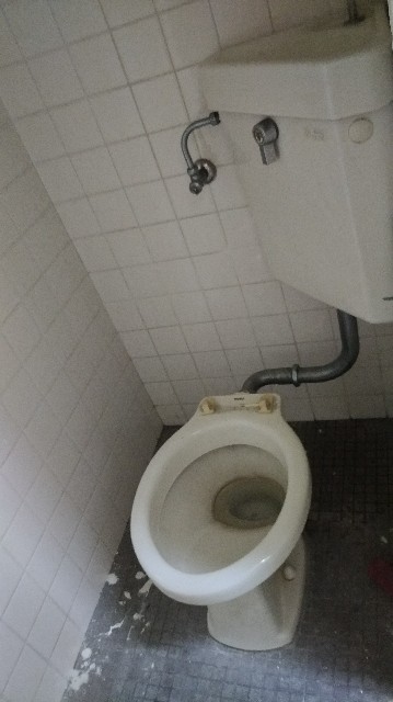f:id:saya1226km:20201215105922j:image