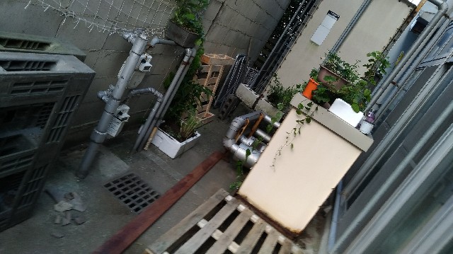 f:id:saya1226km:20201215112718j:image