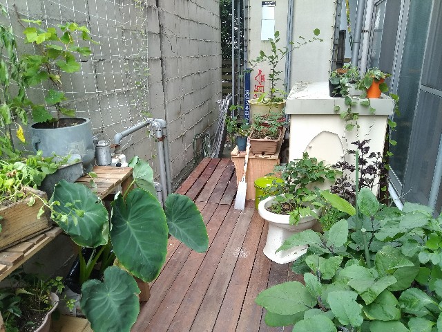 f:id:saya1226km:20201215112824j:image