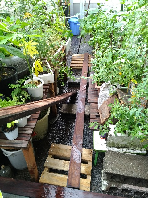 f:id:saya1226km:20201215113046j:image