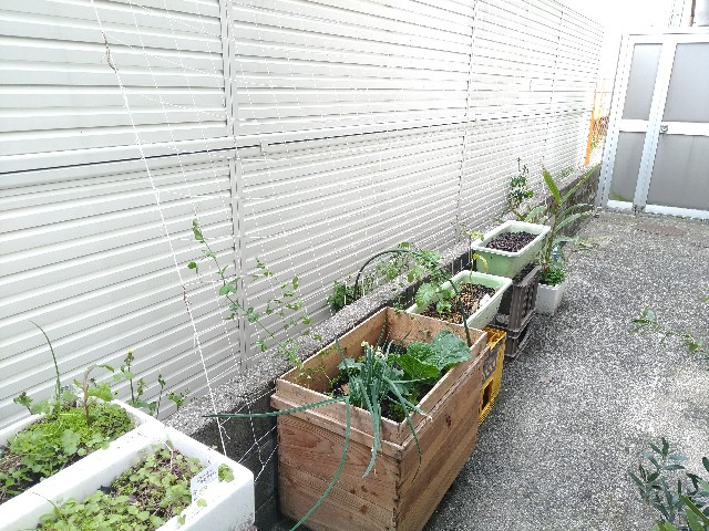 f:id:saya1226km:20201215113341j:image