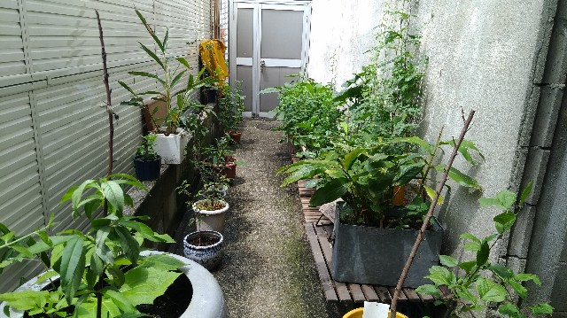 f:id:saya1226km:20201215121110j:image