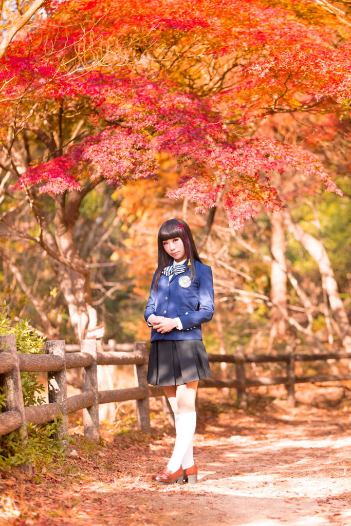 f:id:saya490:20171203022655j:plain f:id:saya490:20171203022655j:plain