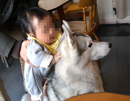 娘 犬に乗るの図 さや散歩