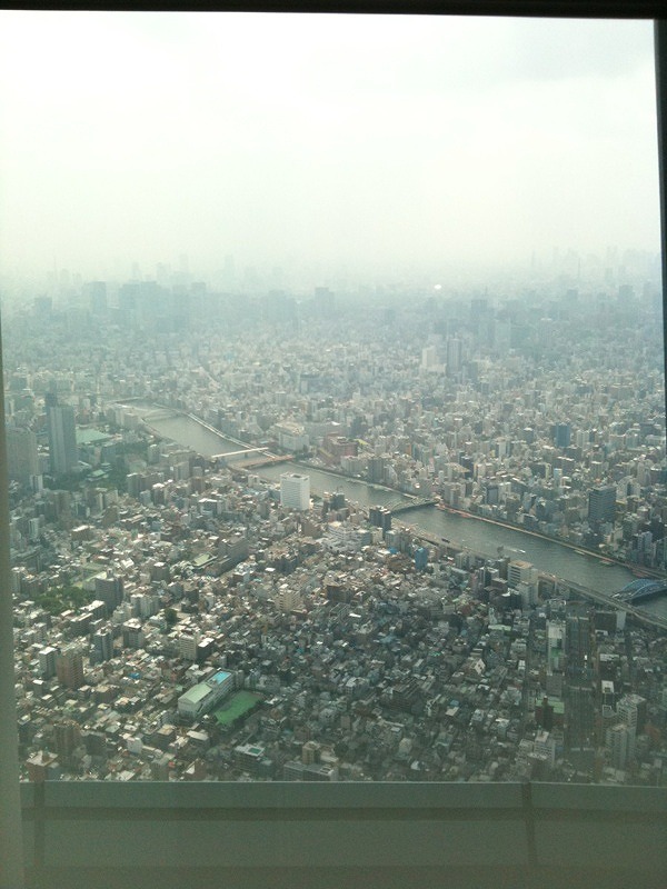 f:id:saya7713:20120606185501j:image f:id:saya7713:20120606185501j:image