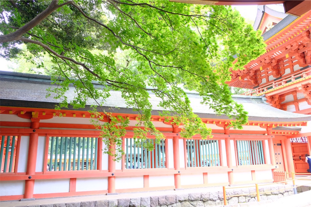 f:id:saya_murota:20180708215851j:image f:id:saya_murota:20180708215851j:image