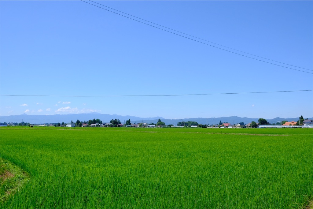 f:id:saya_murota:20180717095534j:image f:id:saya_murota:20180717095534j:image