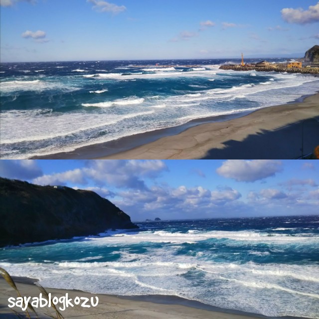 f:id:sayablogkozu:20180125103605j:image f:id:sayablogkozu:20180125103605j:image