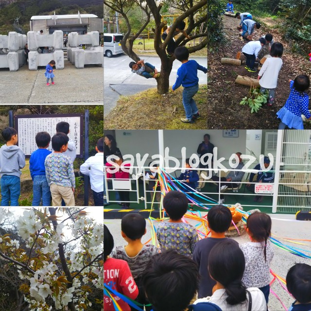 f:id:sayablogkozu:20180323221602j:image f:id:sayablogkozu:20180323221602j:image