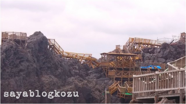 f:id:sayablogkozu:20181005212734j:image