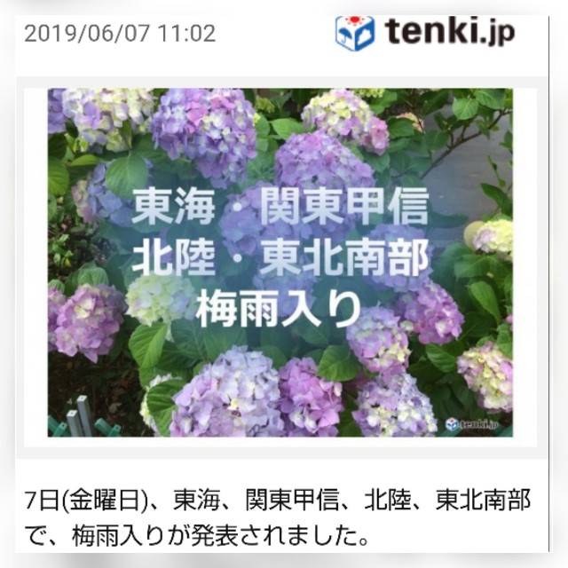 f:id:sayablogkozu:20190607122028j:image f:id:sayablogkozu:20190607122028j:image