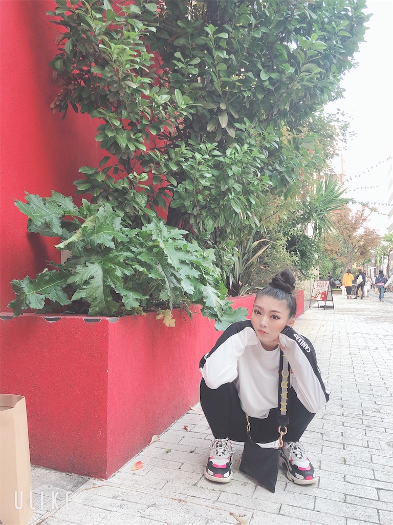 f:id:sayachinchang:20191116195201j:image