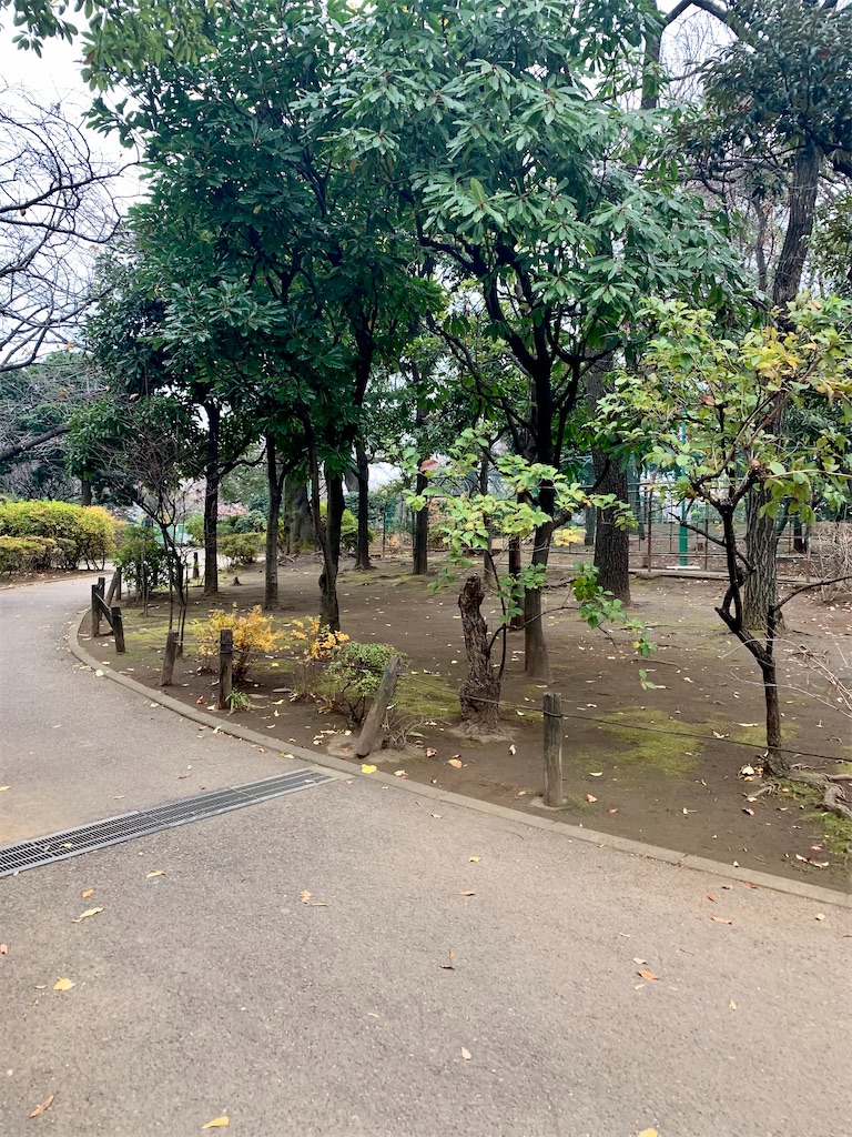 f:id:sayagyugyugyu:20191222142839j:image