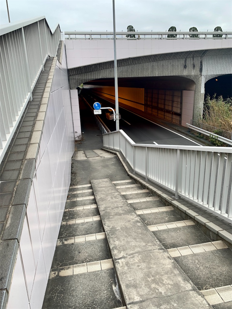 f:id:sayagyugyugyu:20191222154053j:image