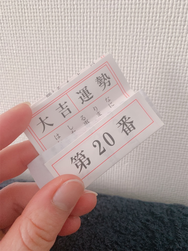 f:id:sayagyugyugyu:20200101155143j:image