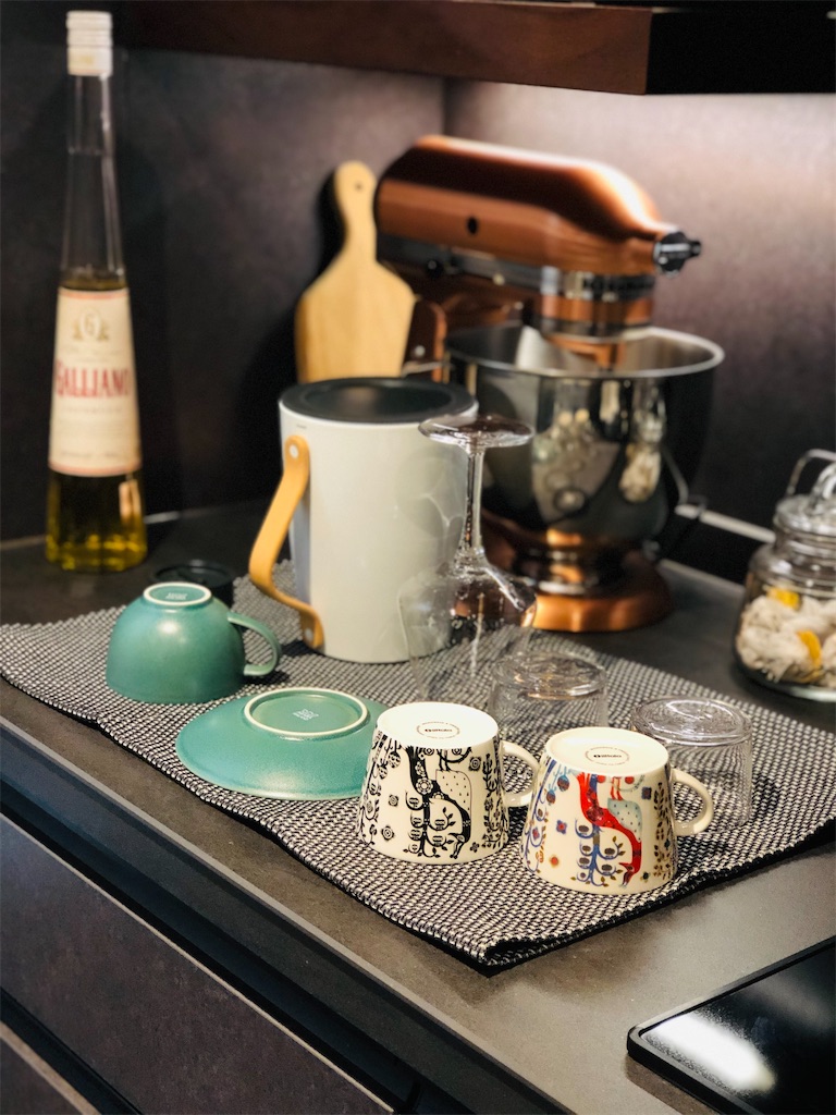 イッタラ iittala タイカ ボウル ふくろう 深皿 サラダボウル 2個