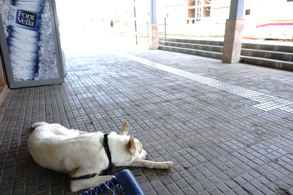 f:id:sayakador:20150906190202j:plain