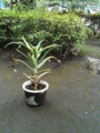 20110611153730