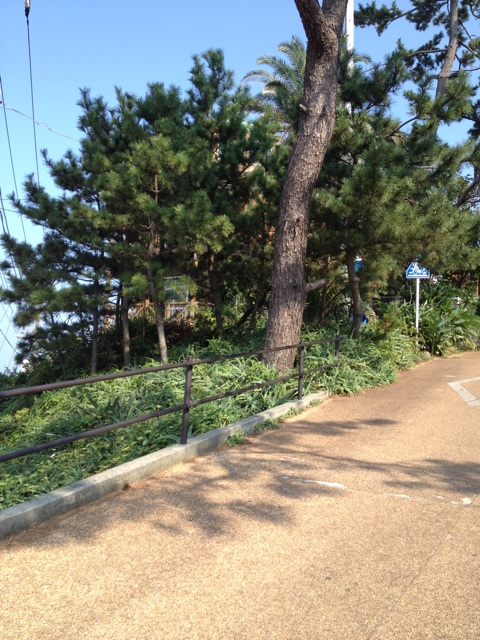 f:id:sayakaloe:20150412023210j:plain f:id:sayakaloe:20150412023210j:plain