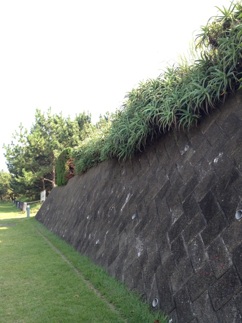 f:id:sayakaloe:20150412023805j:plain f:id:sayakaloe:20150412023805j:plain