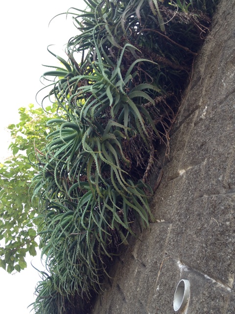 f:id:sayakaloe:20150412023932j:plain f:id:sayakaloe:20150412023932j:plain