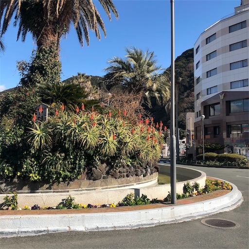 f:id:sayakaloe:20190211132016j:image f:id:sayakaloe:20190211132016j:image