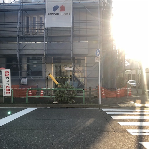 f:id:sayakaloe:20190220172559j:image