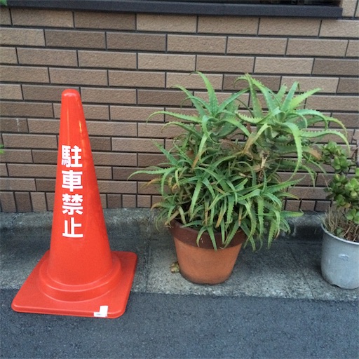 f:id:sayakaloe:20190227160944j:image