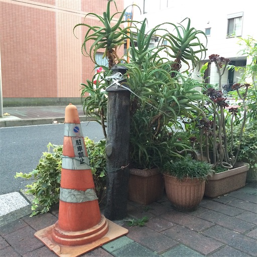 f:id:sayakaloe:20190227160948j:image
