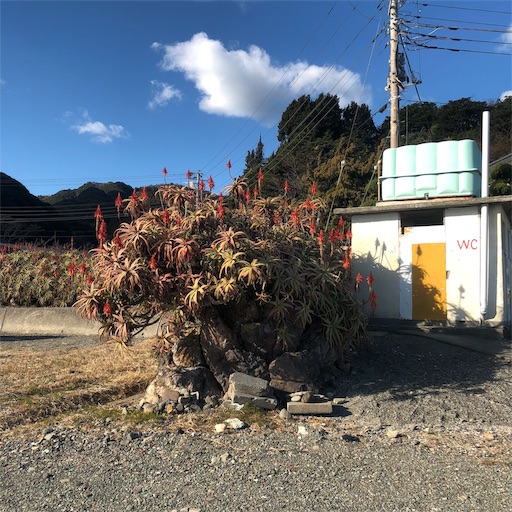 f:id:sayakaloe:20190305173947j:image f:id:sayakaloe:20190305173947j:image