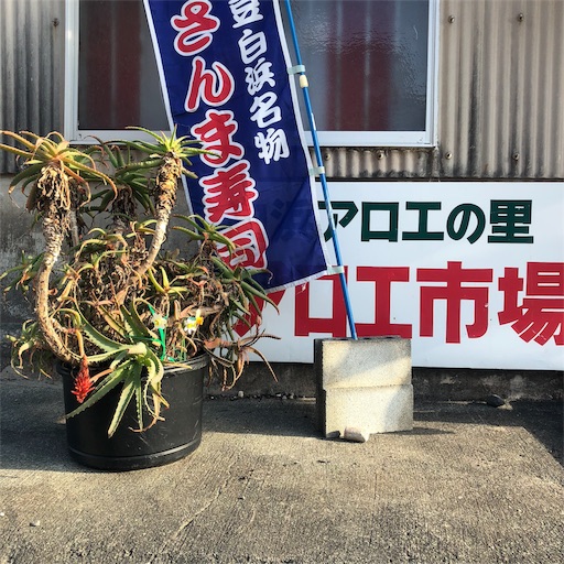 f:id:sayakaloe:20190406071615j:image f:id:sayakaloe:20190406071615j:image