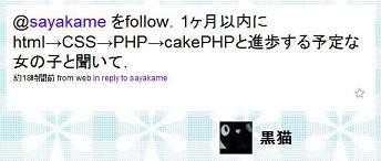 f:id:sayakame:20080523045212j:image f:id:sayakame:20080523045212j:image