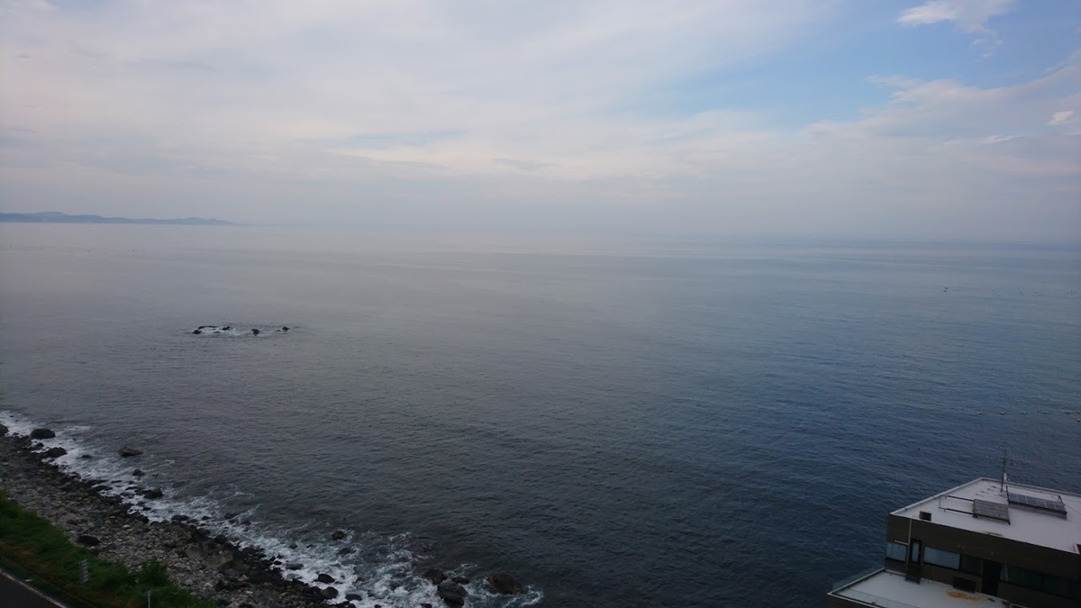 f:id:sayakatyan231:20200829204011j:plain f:id:sayakatyan231:20200829204011j:plain