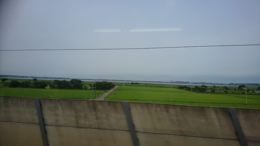 f:id:sayakatyan231:20201128093354j:plain