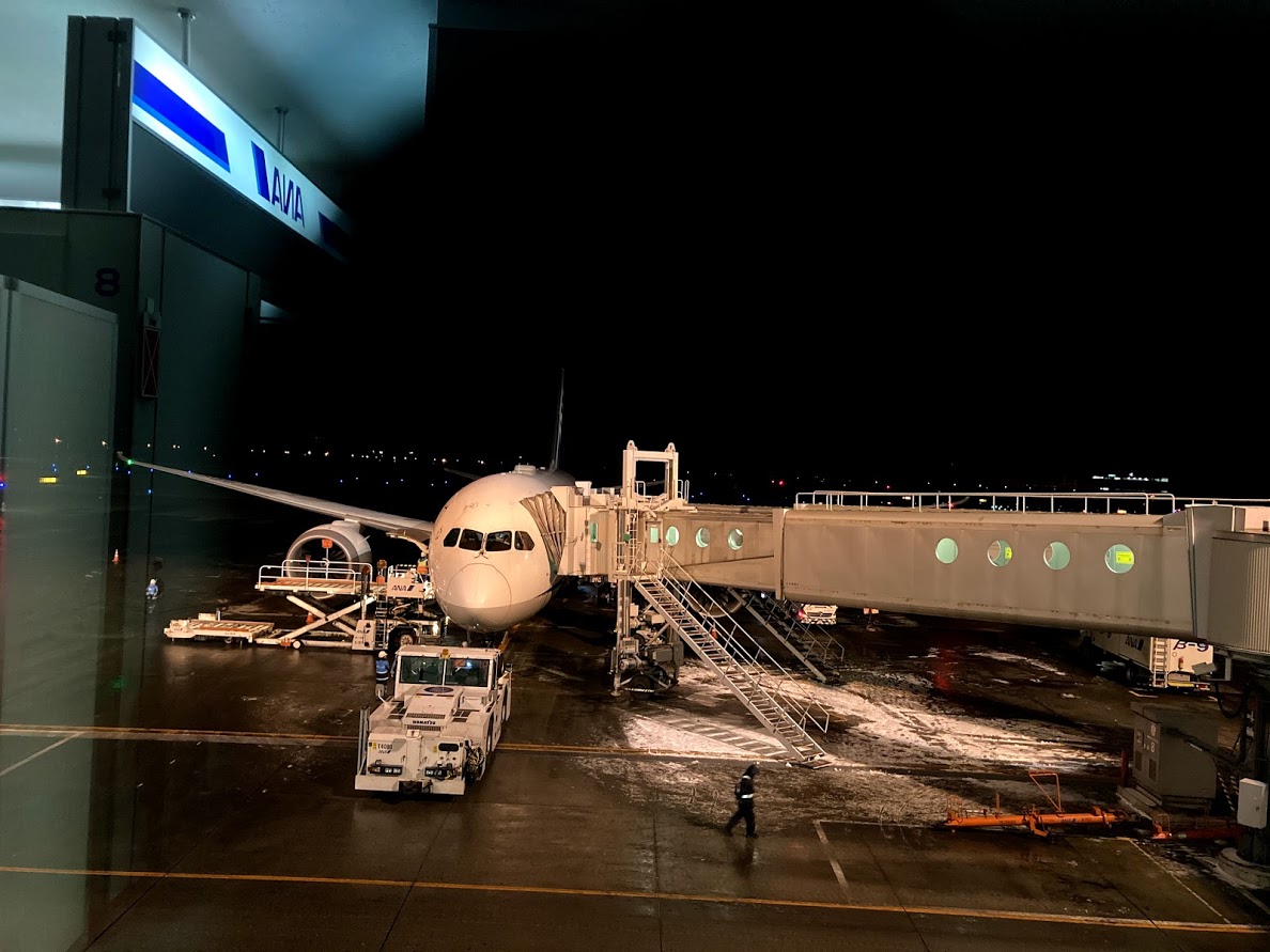 f:id:sayakatyan231:20210411111301j:plain