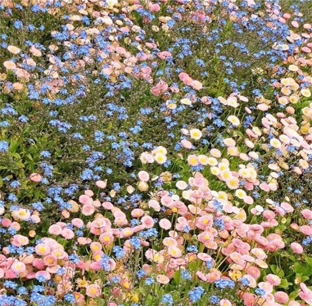 次元を超えた肌に!初めてのエンビロンはどれを使えばいいの