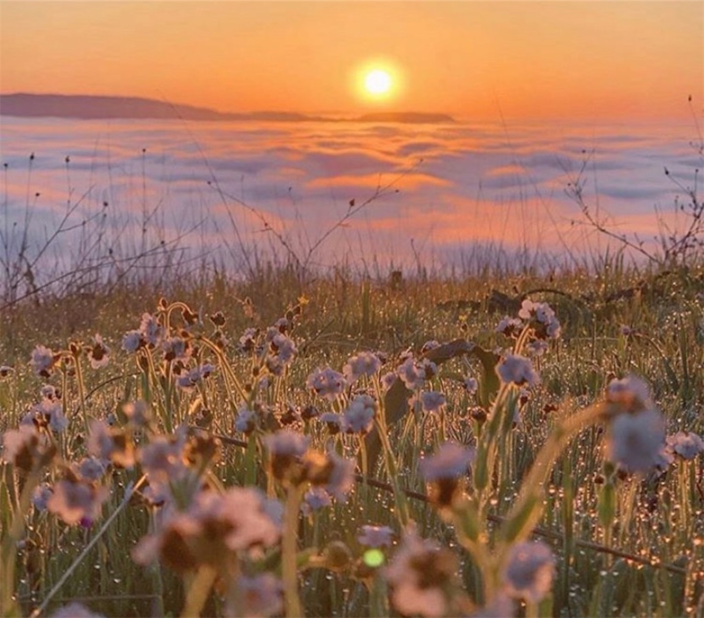 肌荒れ赤みブツブツ マスク肌荒れストレスに一発逆転 肌荒れにいい食べ物とは 肌荒れしないマスクって 肌荒れに効く即効性ドリンク 32歳独身女 仕事しない子ちゃん