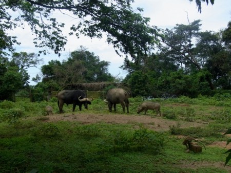 f:id:sayakot:20120520205735j:image:w360 f:id:sayakot:20120520205735j:image:w360