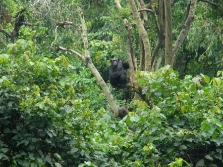 f:id:sayakot:20120521080607j:image:w360 f:id:sayakot:20120521080607j:image:w360