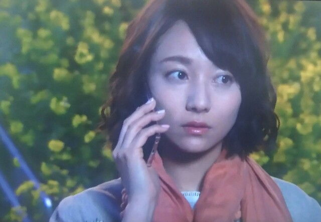 f:id:sayanokuni:20170430002622j:image