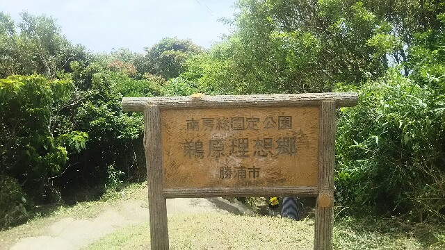 f:id:sayanokuni:20170704152800j:image f:id:sayanokuni:20170704152800j:image