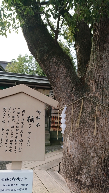 f:id:sayanokuni:20170927215131j:plain